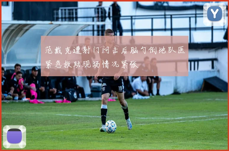 范戴克遭射门闷击后脑勺倒地队医紧急救助现场情况紧张