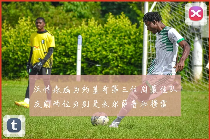 沃特森成为约基奇第三位周最佳队友前两位分别是米尔萨普和穆雷