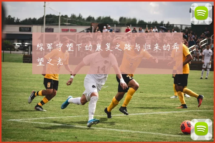 绿军守望下的康复之路与归来的希望之光