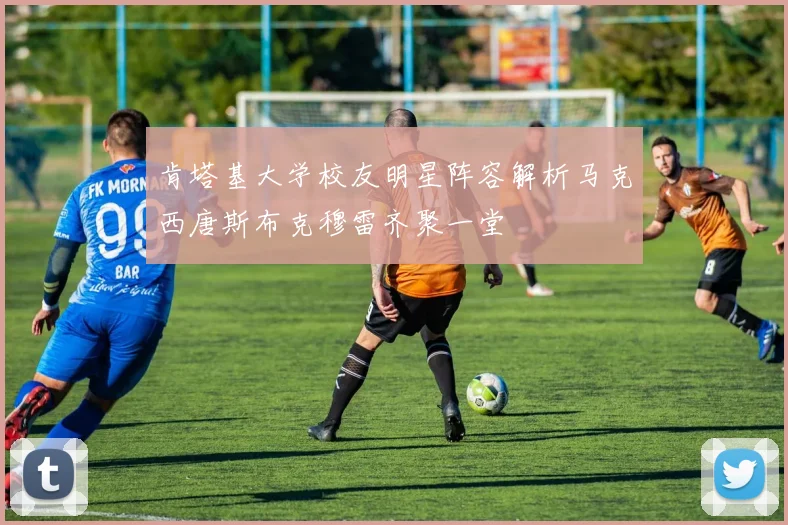 肯塔基大学校友明星阵容解析马克西唐斯布克穆雷齐聚一堂