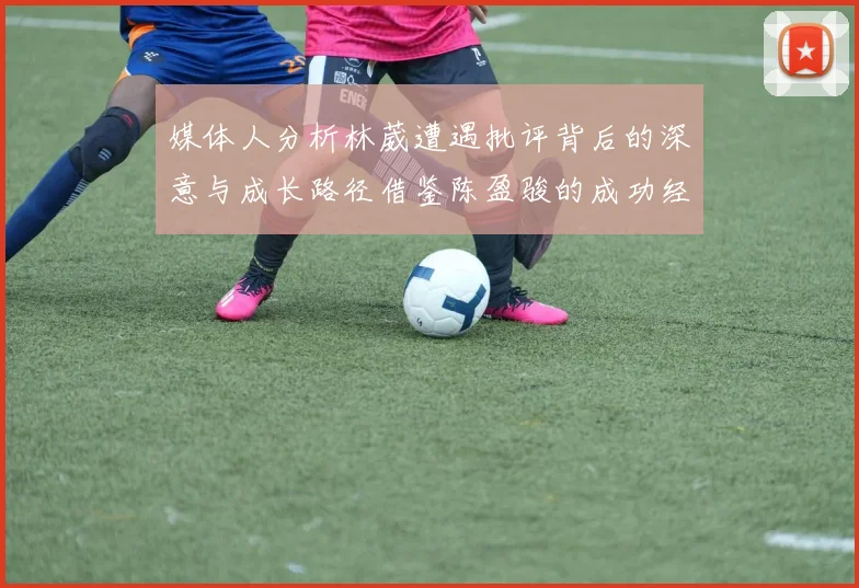 媒体人分析林葳遭遇批评背后的深意与成长路径借鉴陈盈骏的成功经验