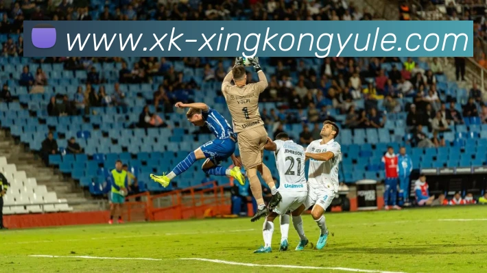 星空娱乐平台生态图