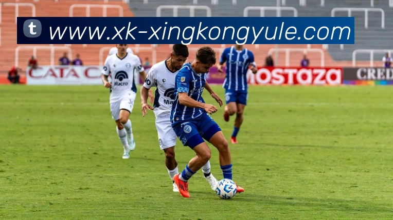 数据防护可视化